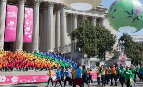 Plan de cultura de Washington D.C.