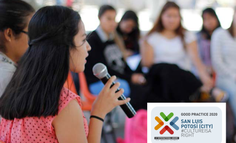 San Luis Potosí (ville)